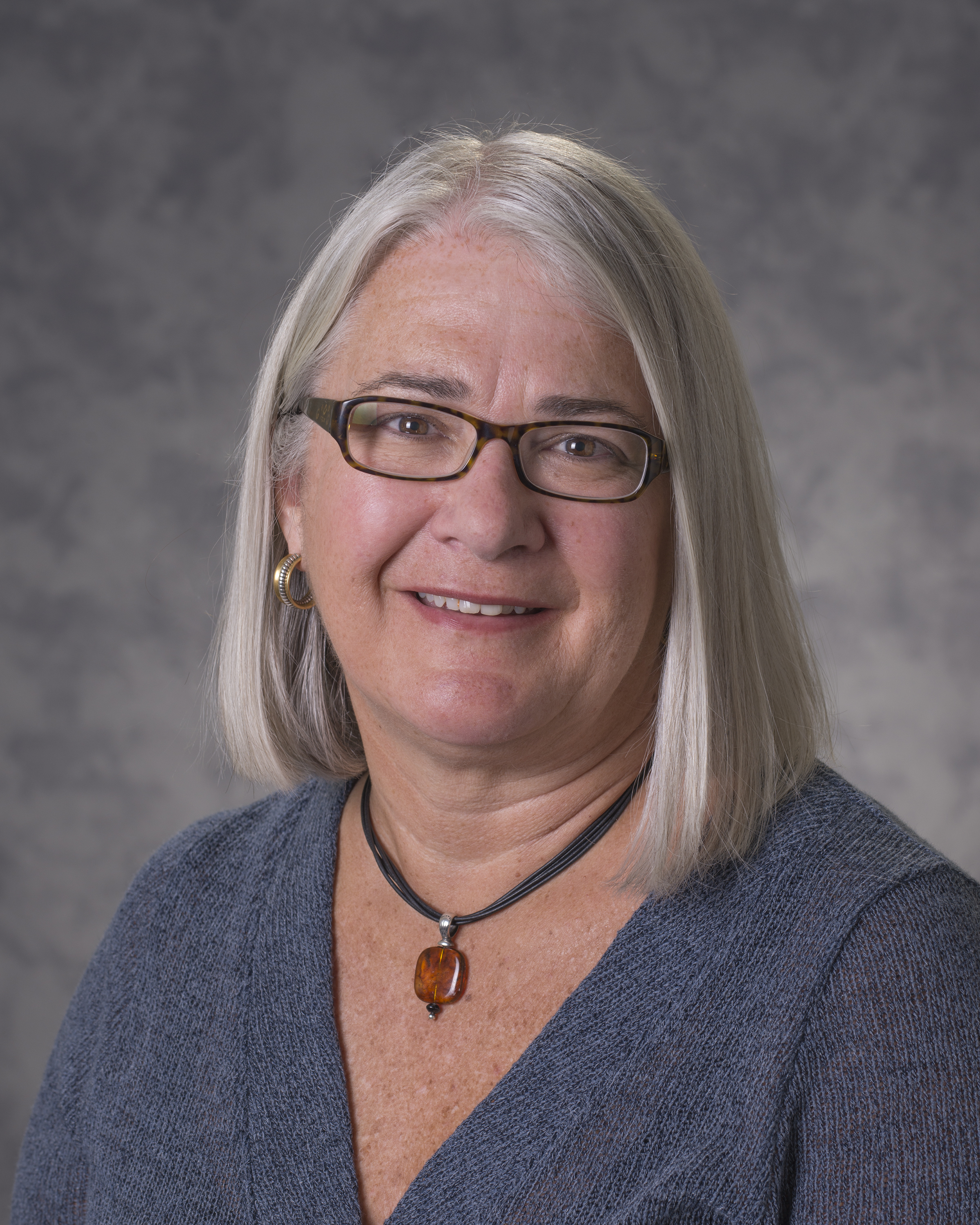 Lizanne DeStefano
Executive Director
Center for Education Integrating Science,
Mathematics, and Computing (CEISMC)
Georgia Institute of Technology Lizanne DeStefano
Executive Director
Center for Education Integrating Science,
Mathematics, and Computing (CEISMC)
Georgia Institute of Technology