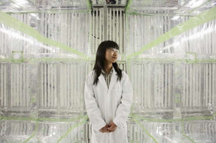 Professor Nga Lee “Sally” Ng Professor Nga Lee “Sally” Ng