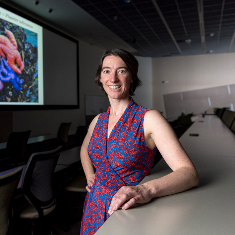 Chrissy Spencer teaches principles of biology, ecology, genetics, evolution, genetics lab, and math models. Her research interests include evolution and ecology, and experimental evolution. Chrissy Spencer teaches principles of biology, ecology, genetics, evolution, genetics lab, and math models. Her research interests include evolution and ecology, and experimental evolution.